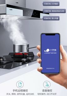 智能家居产品你接触过几个呢 厨电产品的智能化更让你大吃一惊